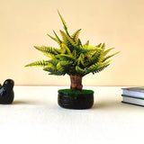 Artificial Autumn Fern Tree Plant – Realistic Greenery with Yellowish Shade for Home & Office Decor  Low Maintenance Accent in Black Pot