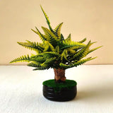 Artificial Autumn Fern Tree Plant – Realistic Greenery with Yellowish Shade for Home & Office Decor  Low Maintenance Accent in Black Pot