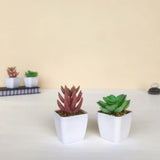 Artificial Succulent Plants with Pot - Lifelike Plastic Succulents (Set of 2)