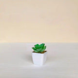 Artificial Succulent Plants with Pot - Lifelike Plastic Succulents (Set of 2)