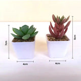 Artificial Succulent Plants with Pot - Lifelike Plastic Succulents (Set of 2)