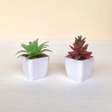 Artificial Succulent Plants with Pot - Lifelike Plastic Succulents (Set of 2)