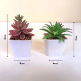 Artificial Succulent Plants with Pot - Lifelike Plastic Succulents (Set of 2)