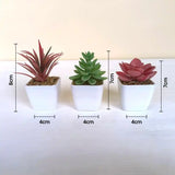 Artificial Succulent Plants with Pot - Lifelike Plastic Succulents (Set of 3)