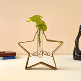 Star-Shaped Gold Metal Flower Vase with Transparent Glass Tube for Home and Office Decor