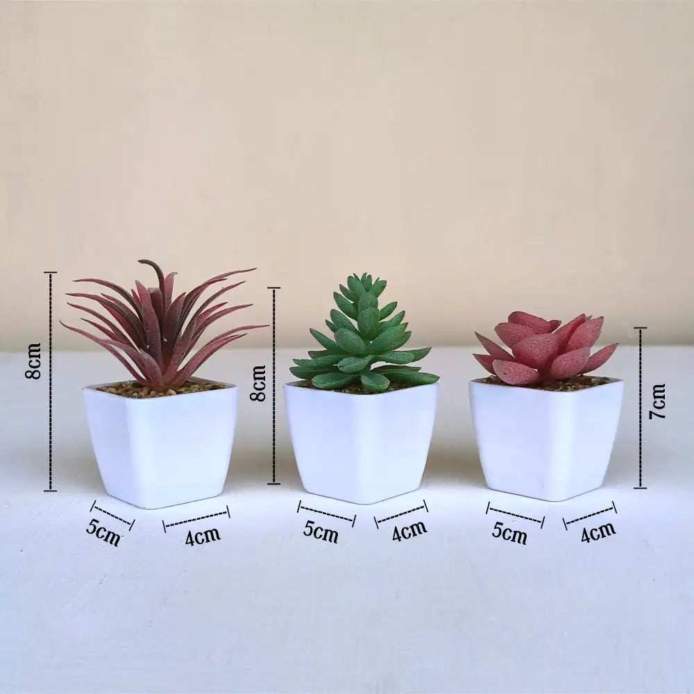 Artificial Succulent Plants with Pot Pack of 3 - Set of Lifelike Plastic Succulents
