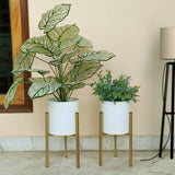 Mid Century Gold Metal Planters with Stands - Set of 2