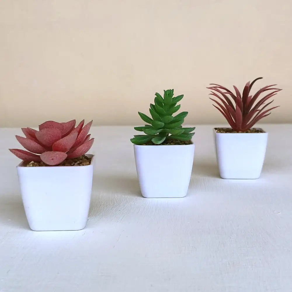Artificial Succulent Plants with Pot Pack of 3 - Set of Lifelike Plastic Succulents